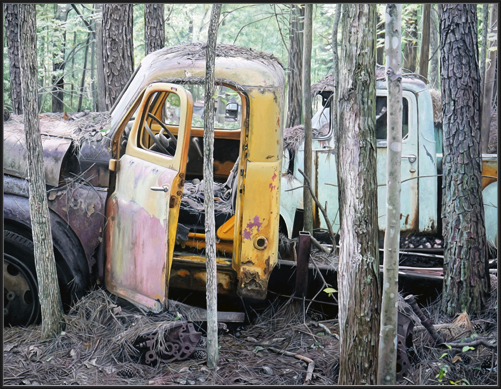 Trucks & Trees (2017)
91 x 71 cm
oil on linen
